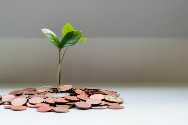 Piggy bank representing savings